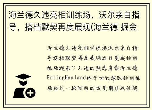 海兰德久违亮相训练场，沃尔亲自指导，搭档默契再度展现(海兰德 掘金)