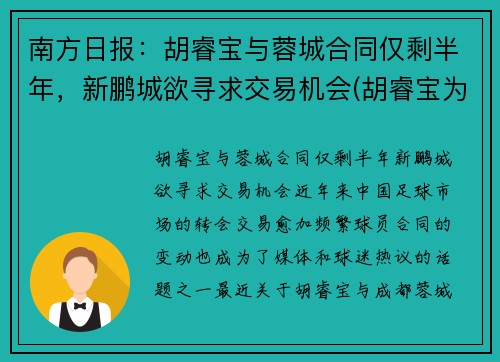 南方日报：胡睿宝与蓉城合同仅剩半年，新鹏城欲寻求交易机会(胡睿宝为什么叫曼城名宿)
